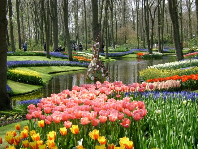  Belanda tentu Taman Bunga Keukenhof SEKAI