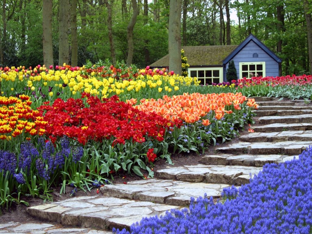  Belanda tentu Taman Bunga Keukenhof SEKAI
